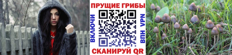 Галлюциногенные грибы MAGIC MUSHROOMS  Орёл 